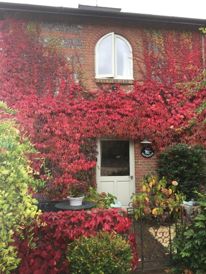 The Dovecote, Stoke Farthing Courtyard Villa Broad Chalke Exterior foto